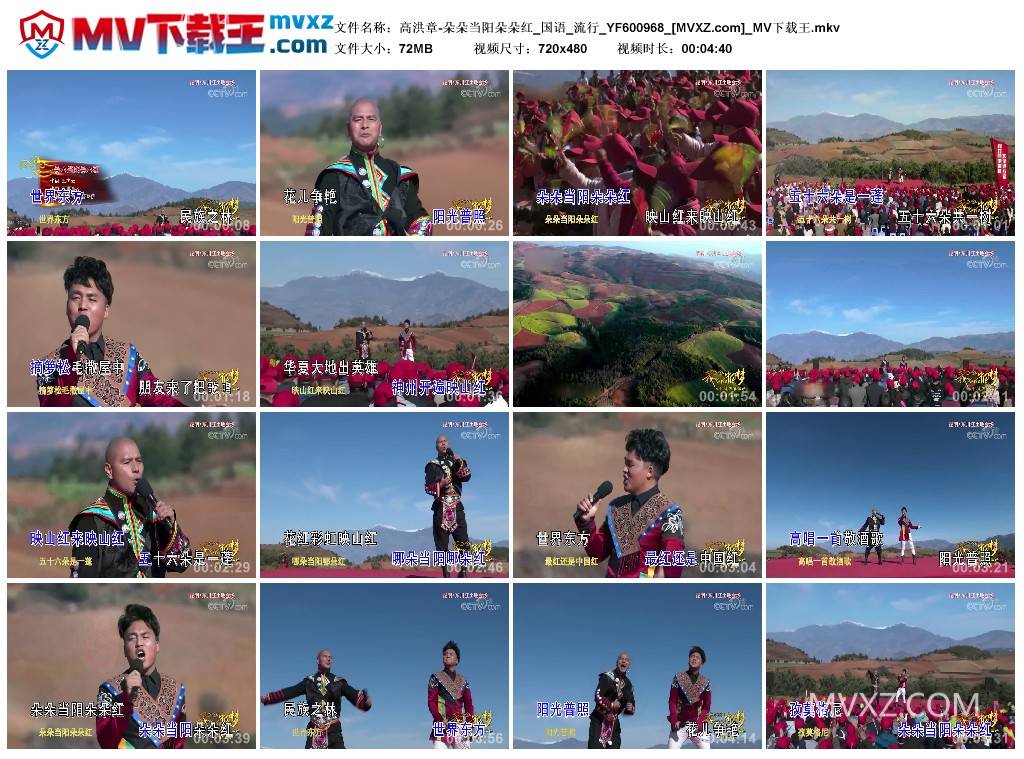 高洪章-朵朵当阳朵朵红_国语_流行_YF600968